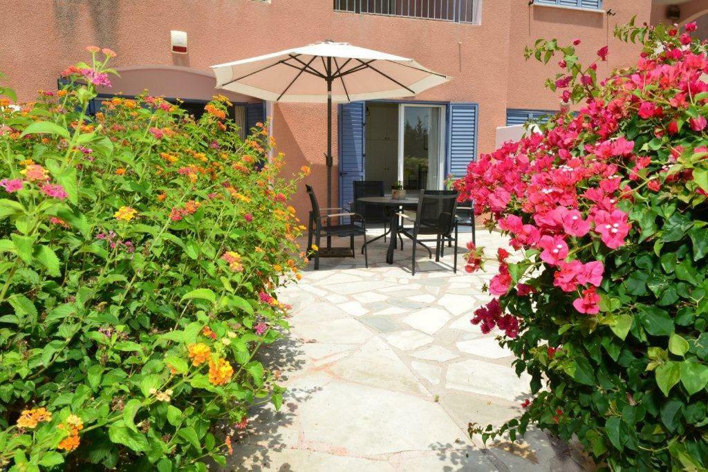 Limnaria Villas Sunny Garden Apartment Πάφος Εξωτερικό φωτογραφία